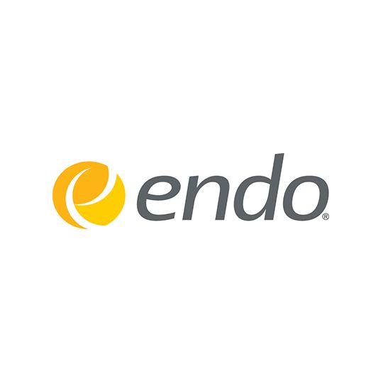 Endo logo